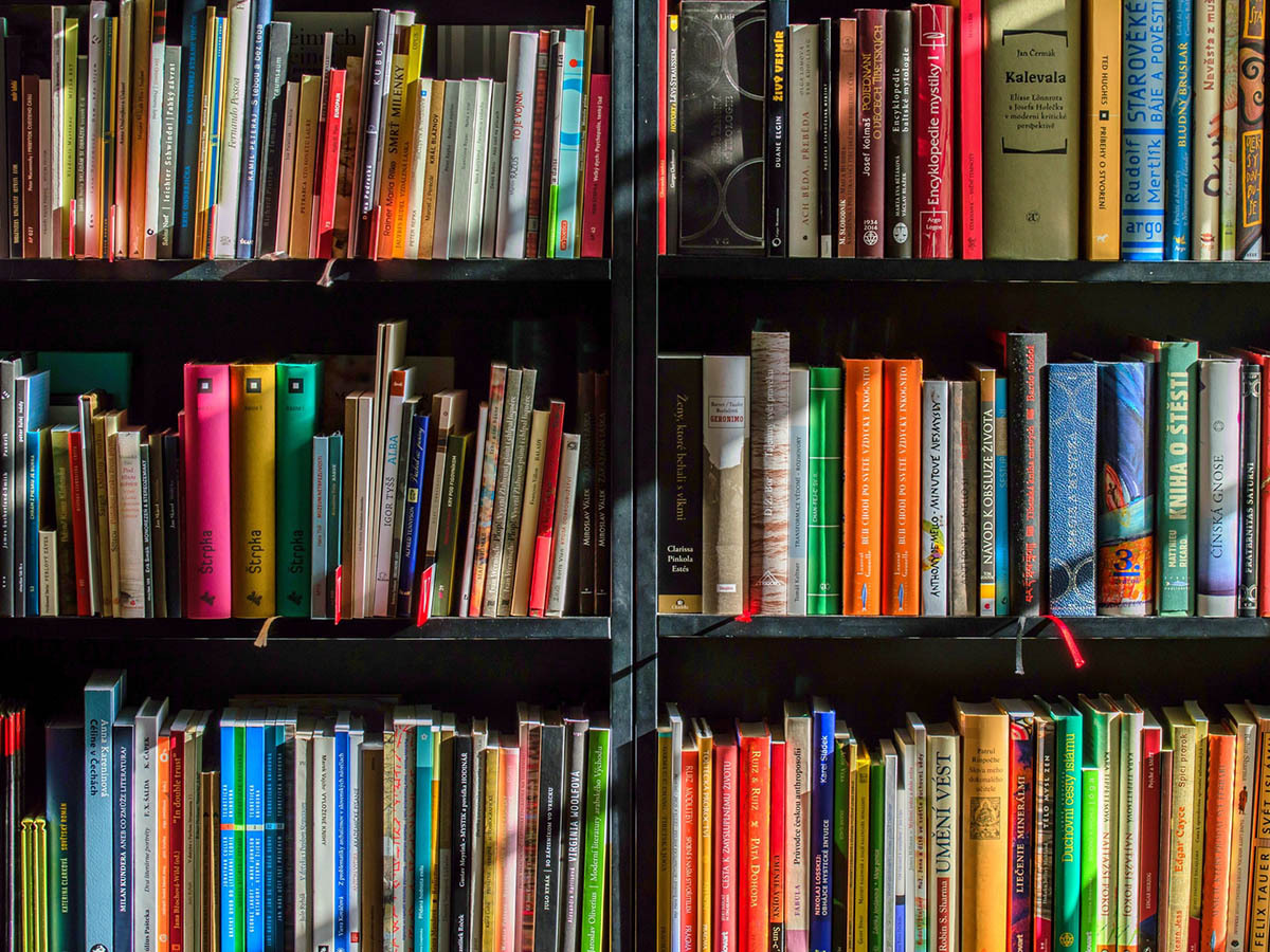 Colorful books on a shelf